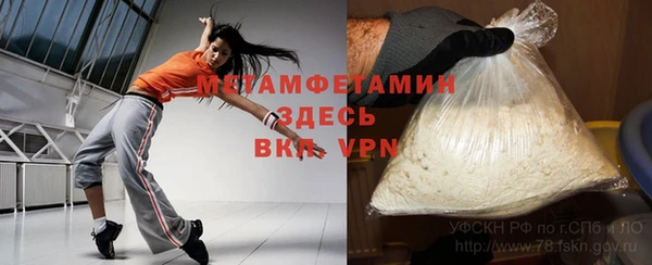 индика Дмитров