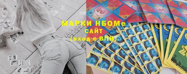 индика Гусь-Хрустальный