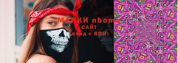 индика Гусь-Хрустальный