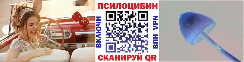 Купить где  Жуковский  Псилоцибиновые грибы MAGIC MUSHROOMS 